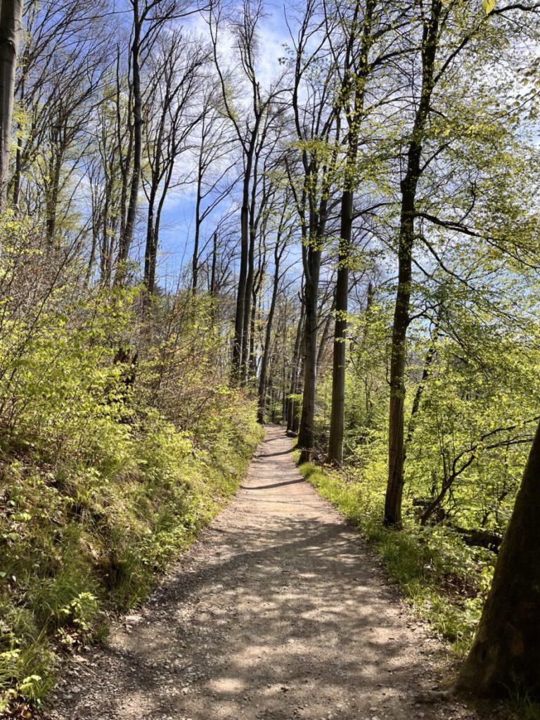 Wandern im Neandertal Entlang der Düssel in den Düsselauen 4