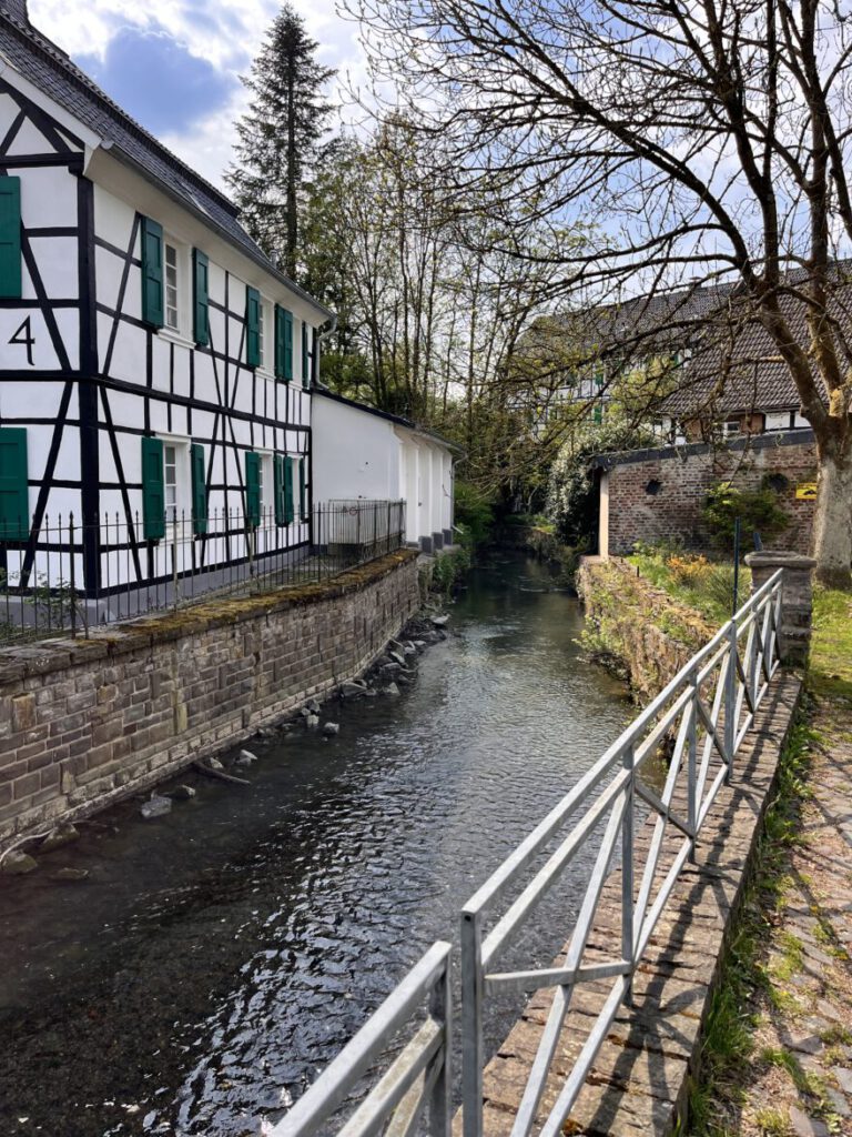 Wandern im Neandertal Entlang der Düssel in den Düsselauen 40