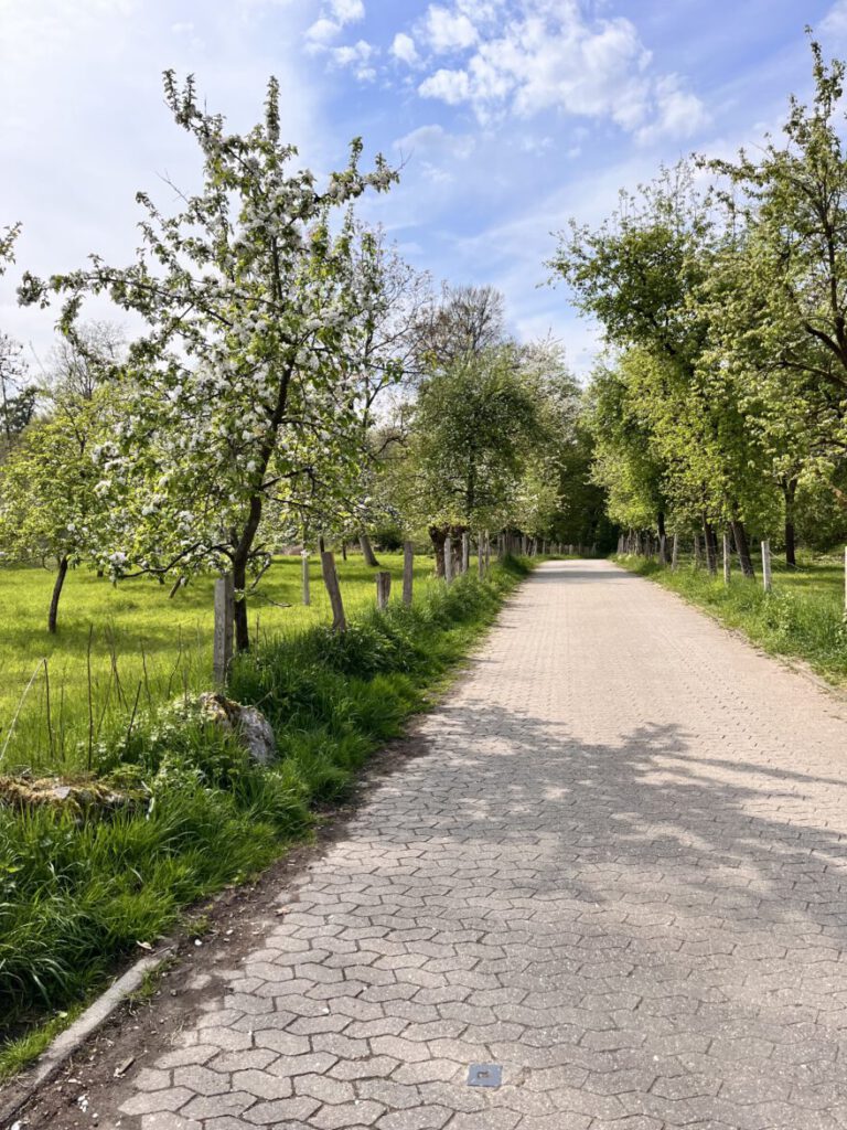 Wandern im Neandertal Entlang der Düssel in den Düsselauen 41