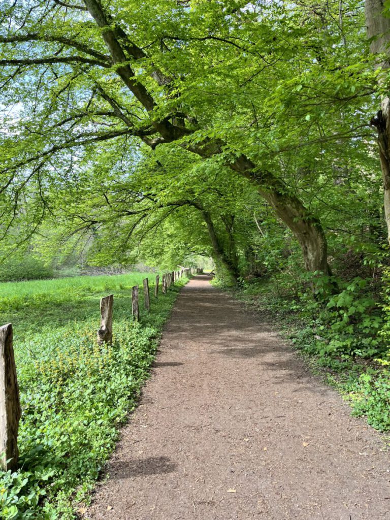 Wandern im Neandertal Entlang der Düssel in den Düsselauen 44