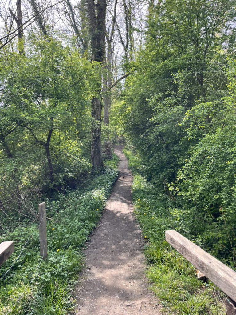 Wandern im Neandertal Entlang der Düssel in den Düsselauen 45