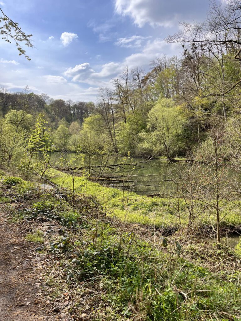 Wandern im Neandertal Entlang der Düssel in den Düsselauen 46