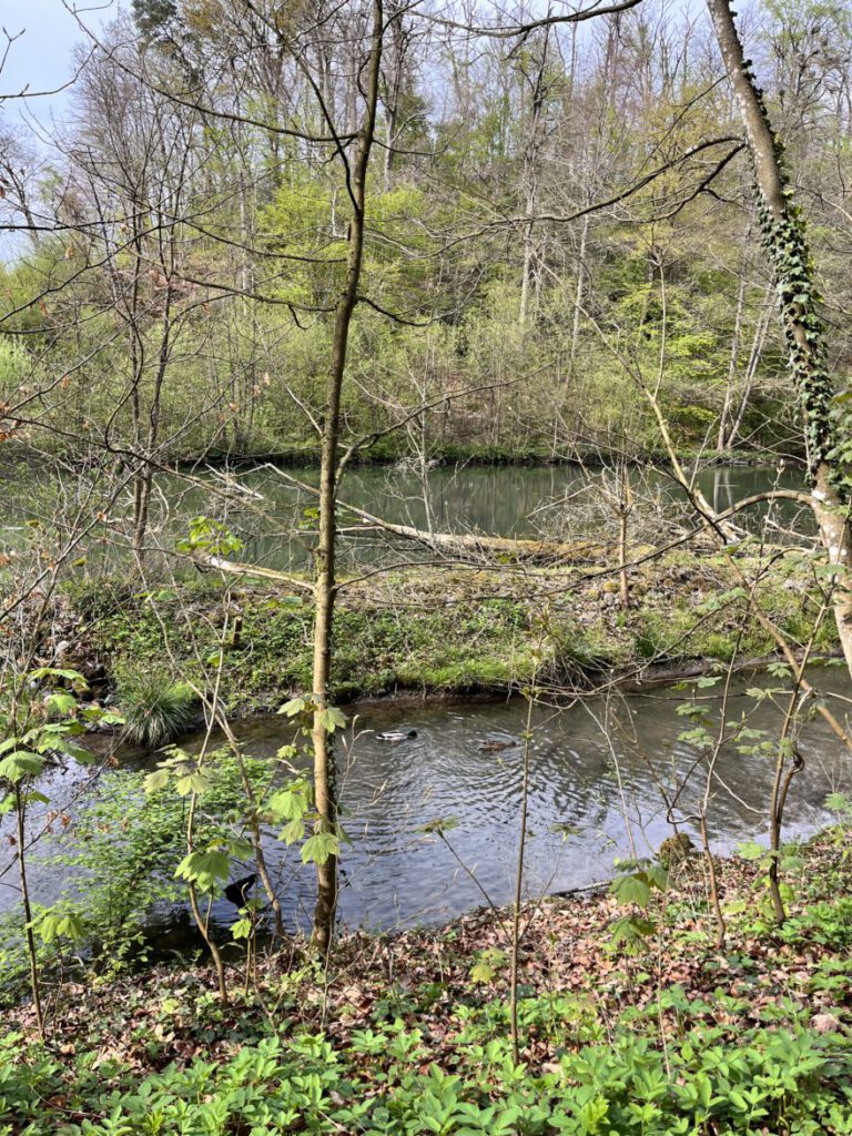 Wandern im Neandertal Entlang der Düssel in den Düsselauen 47