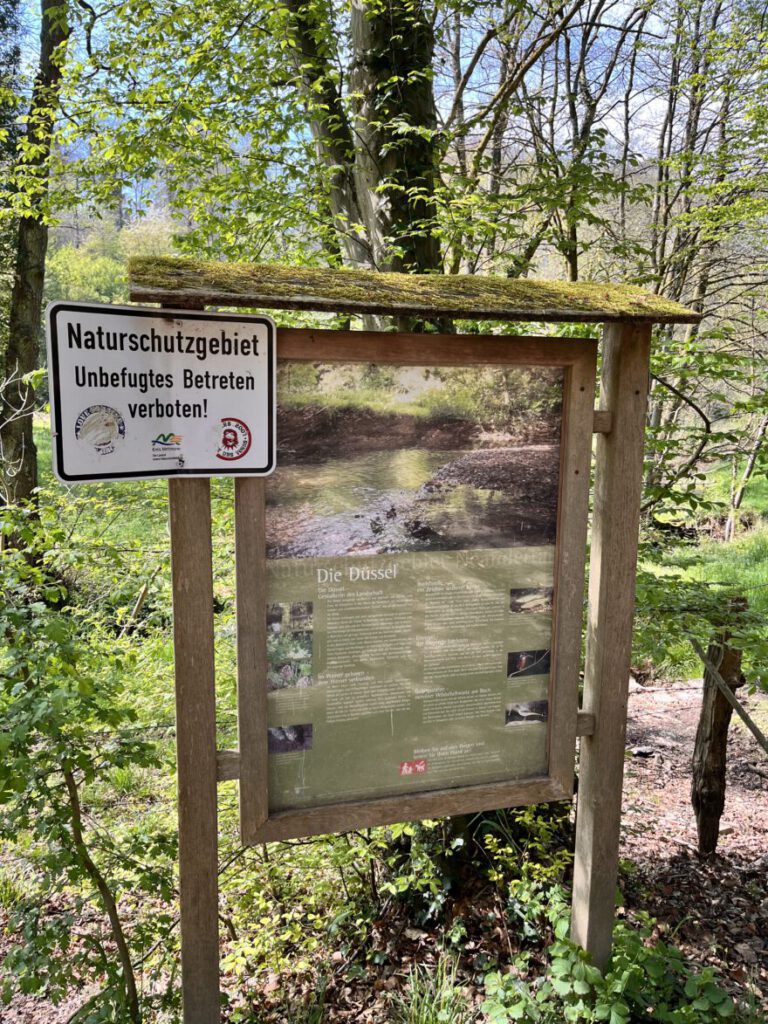 Wandern im Neandertal Entlang der Düssel in den Düsselauen 5