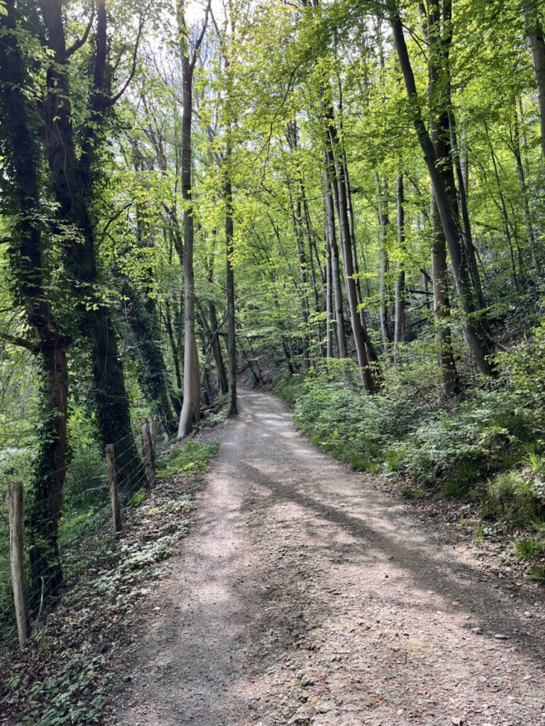 Wandern im Neandertal Entlang der Düssel in den Düsselauen 51