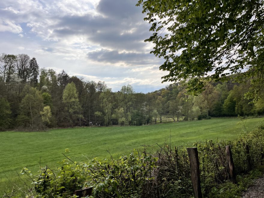 Wandern im Neandertal Entlang der Düssel in den Düsselauen 53