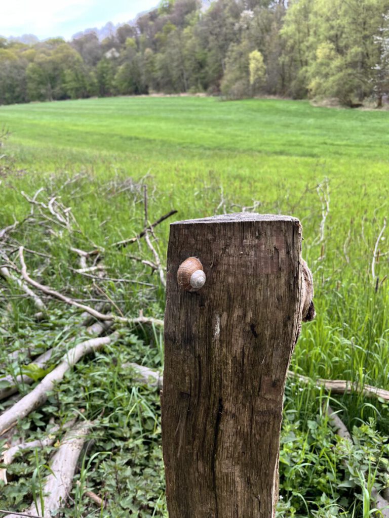 Wandern im Neandertal Entlang der Düssel in den Düsselauen 54