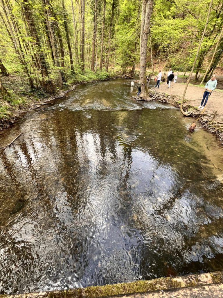 Wandern im Neandertal Entlang der Düssel in den Düsselauen 55