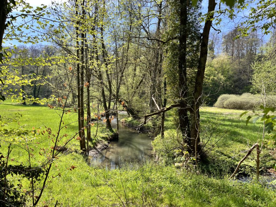 Wandern im Neandertal Entlang der Düssel in den Düsselauen 6