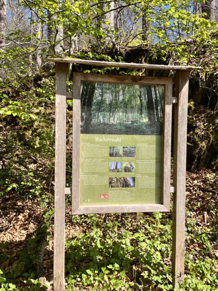 Wandern im Neandertal Entlang der Düssel in den Düsselauen 7