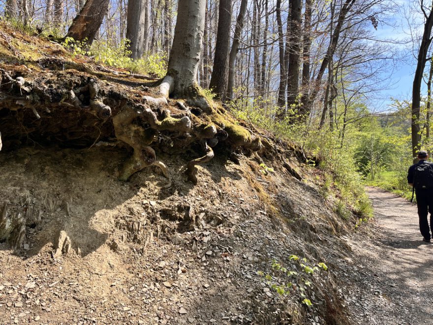 Wandern im Neandertal Entlang der Düssel in den Düsselauen 9