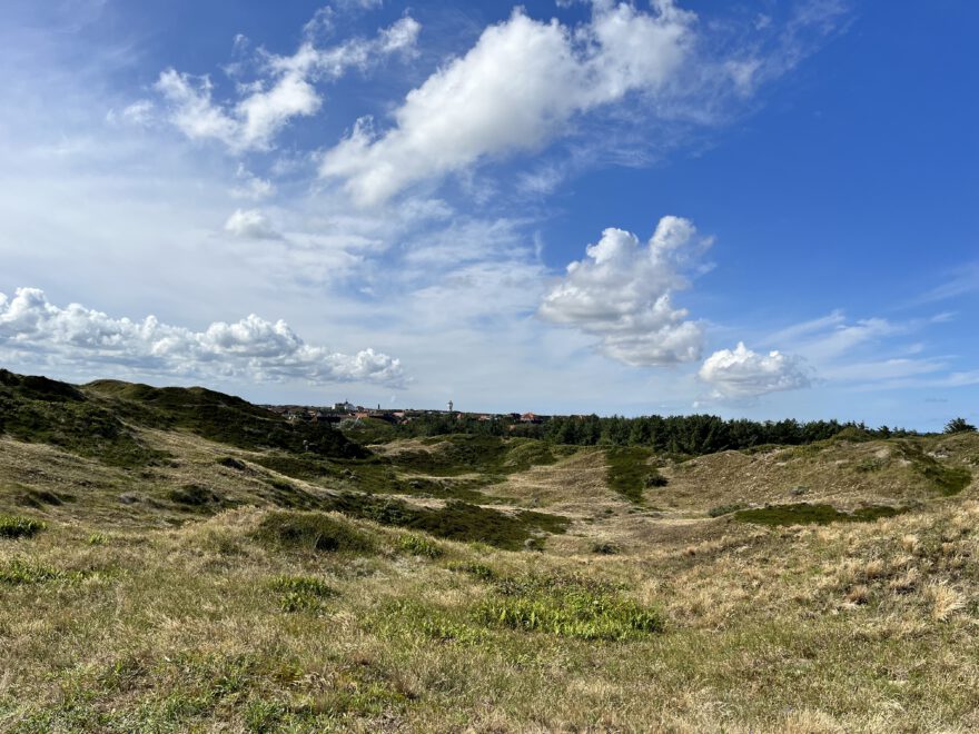 Langeoog Naturlehrpfad Flinthoern Impressionen vom Radweg 2