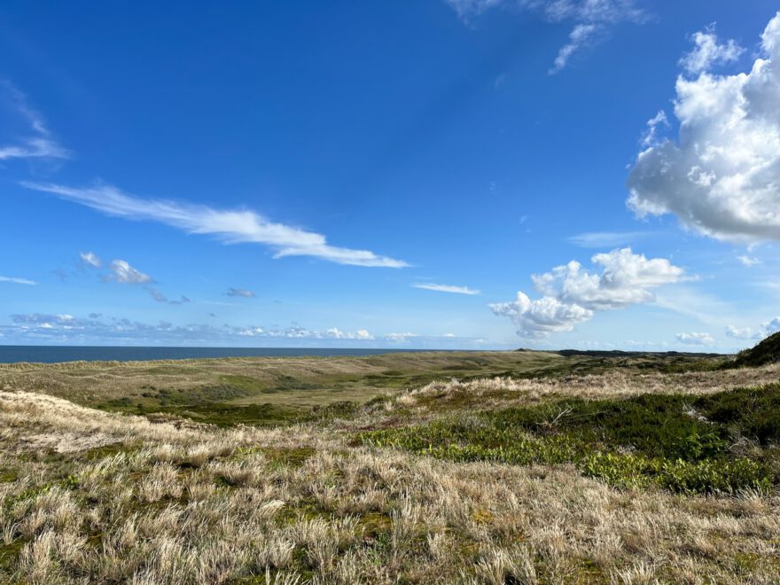 Langeoog Naturlehrpfad Flinthoern Impressionen vom Radweg 3