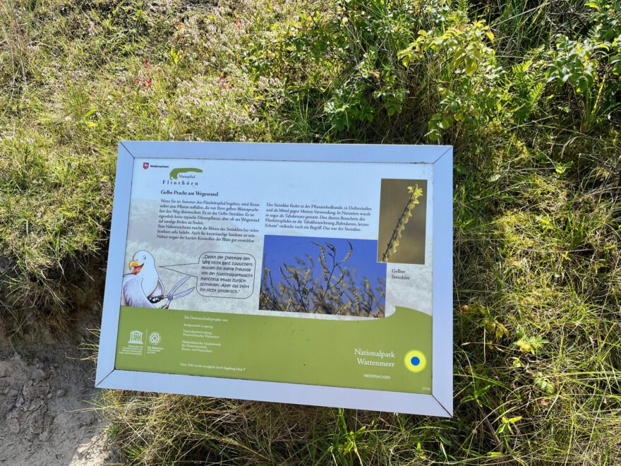 Langeoog Naturlehrpfad Flinthoern Impressionen vom Weg 10