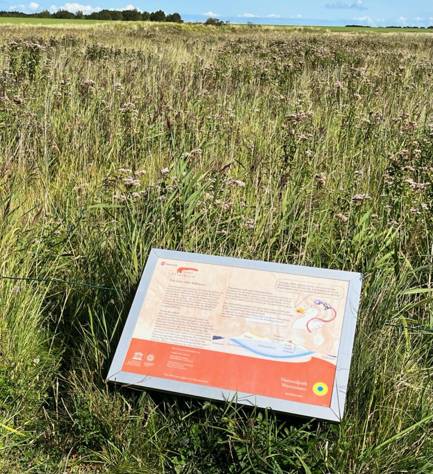 Langeoog Naturlehrpfad Flinthoern Impressionen vom Weg 13