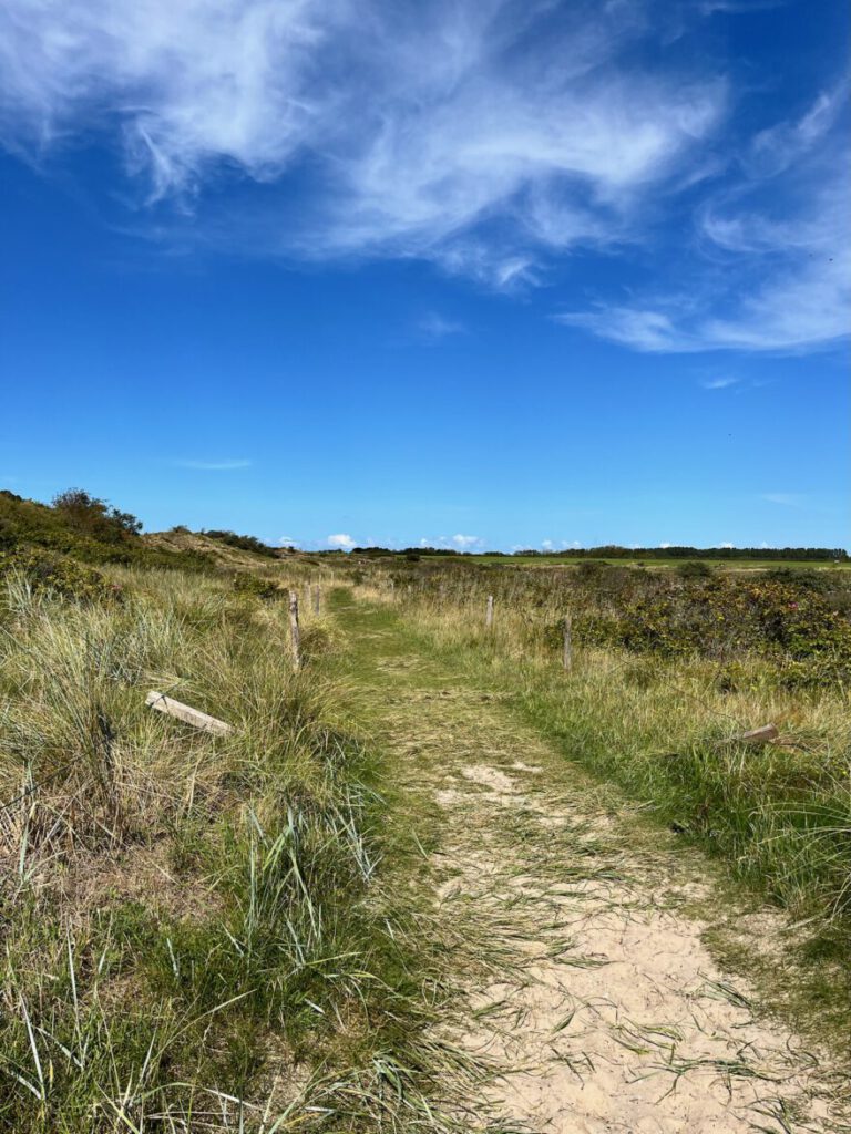 Langeoog Naturlehrpfad Flinthoern Impressionen vom Weg 14
