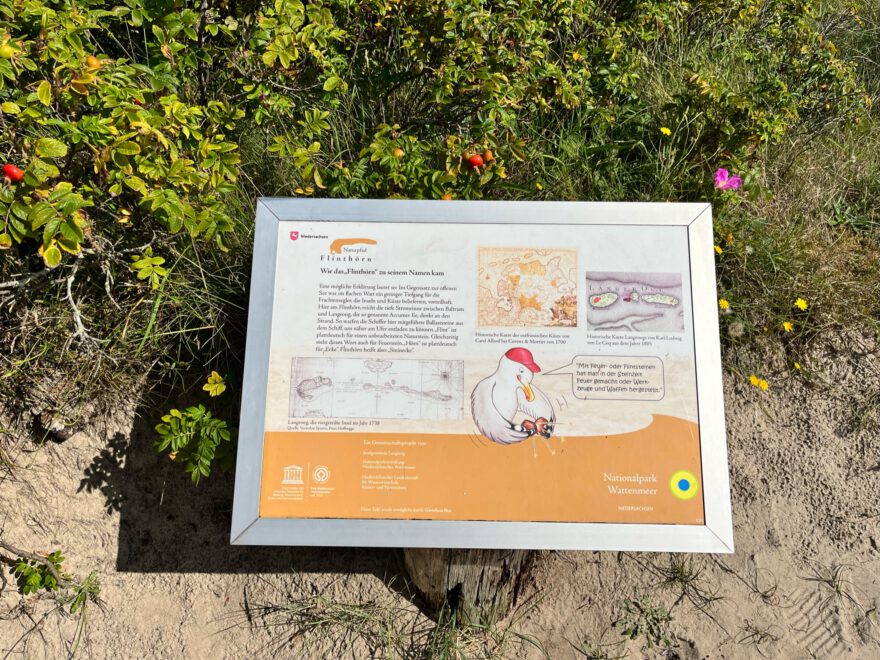 Langeoog Naturlehrpfad Flinthoern Impressionen vom Weg 15