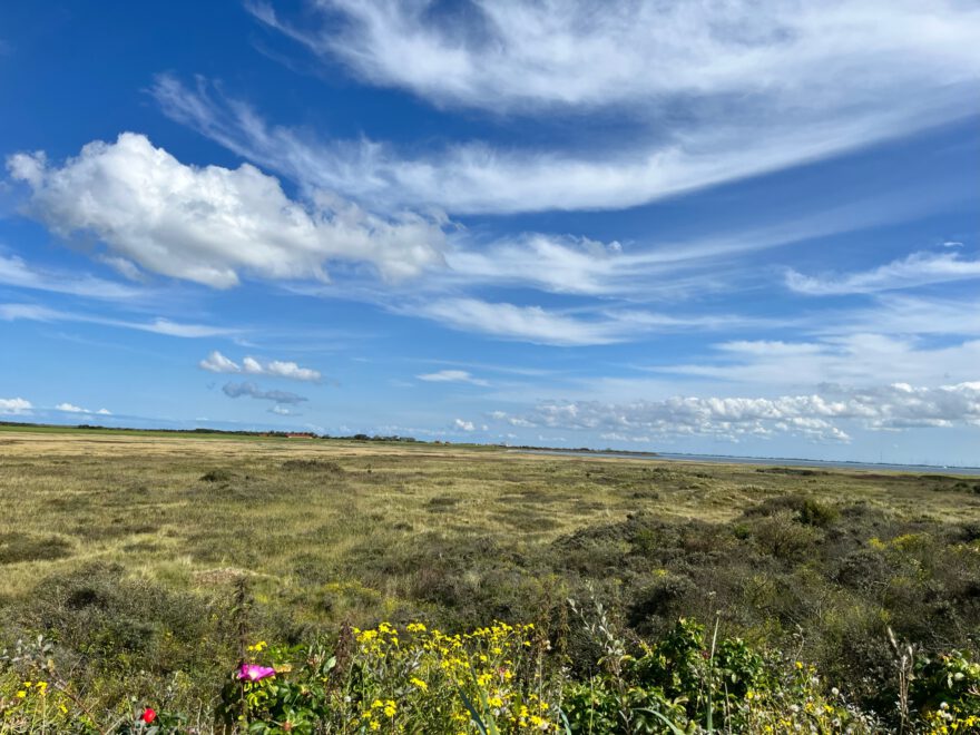 Langeoog Naturlehrpfad Flinthoern Impressionen vom Weg 16