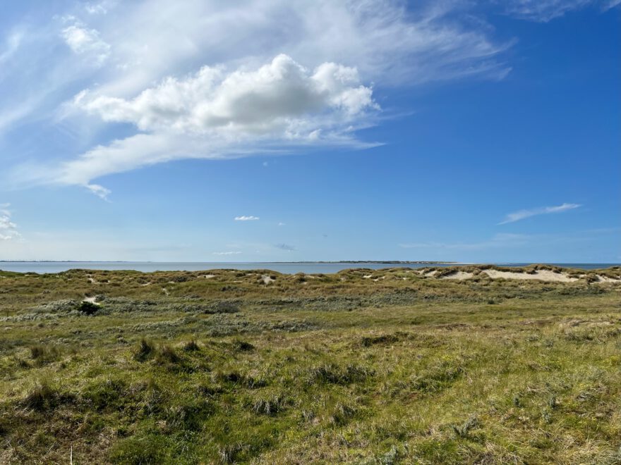 Langeoog Naturlehrpfad Flinthoern Impressionen vom Weg 18