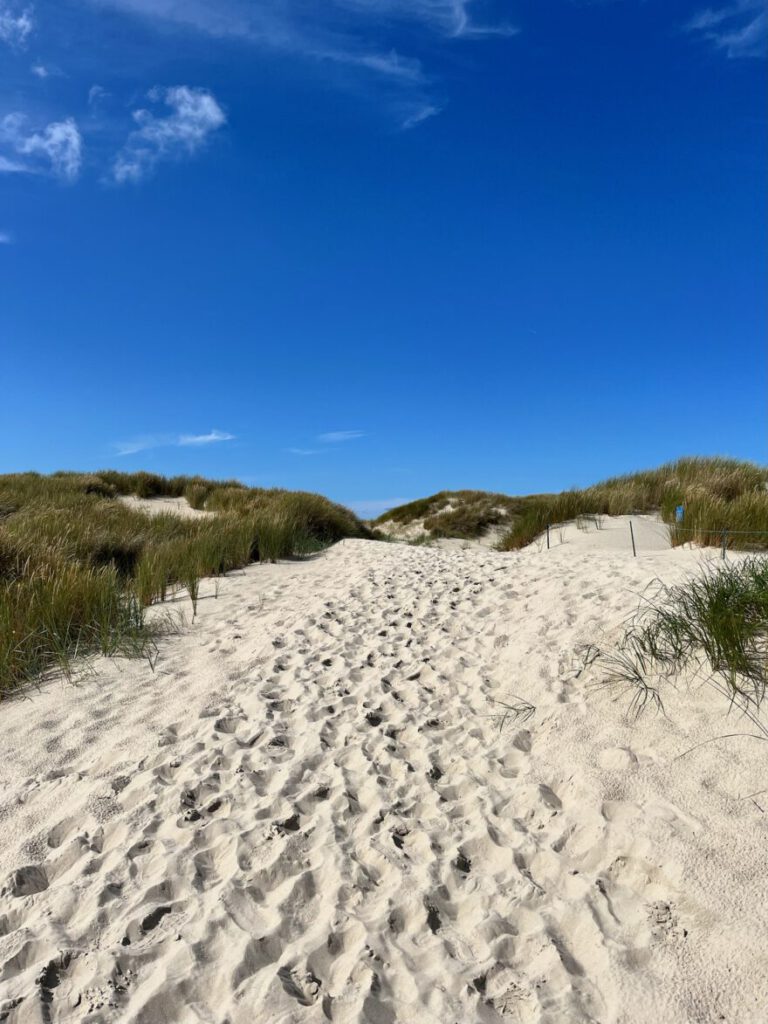 Langeoog Naturlehrpfad Flinthoern Impressionen vom Weg 19
