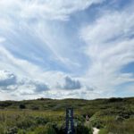 Langeoog Naturlehrpfad Flinthoern Impressionen vom Weg 2