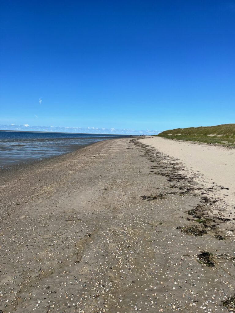 Langeoog Naturlehrpfad Flinthoern Impressionen vom Weg 22