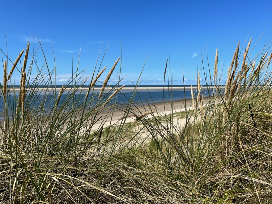 Langeoog Naturlehrpfad Flinthoern Impressionen vom Weg 24