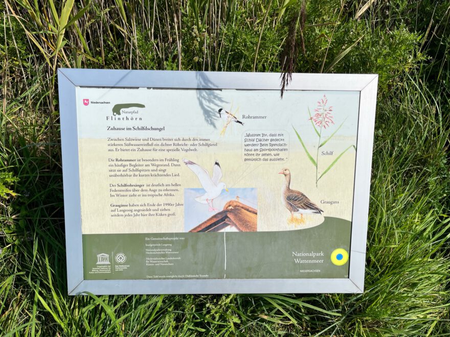 Langeoog Naturlehrpfad Flinthoern Impressionen vom Weg 5