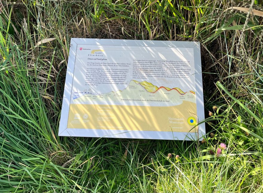 Langeoog Naturlehrpfad Flinthoern Impressionen vom Weg 6