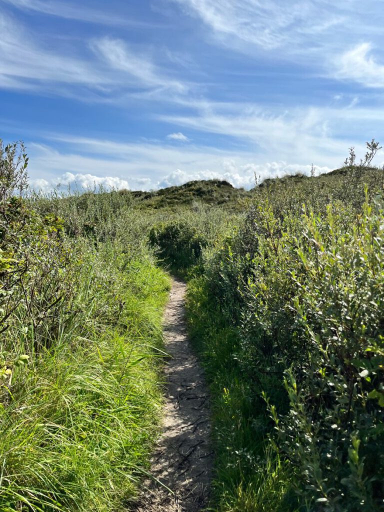 Langeoog Naturlehrpfad Flinthoern Impressionen vom Weg 7