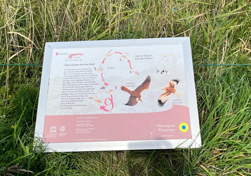 Langeoog Naturlehrpfad Flinthoern Impressionen vom Weg 8