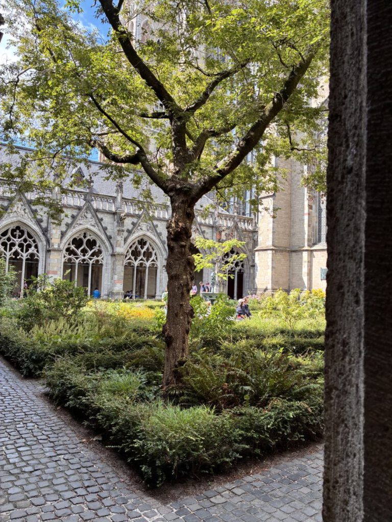 Städtetrip Utrecht Im Dom und Kreuzgang 18