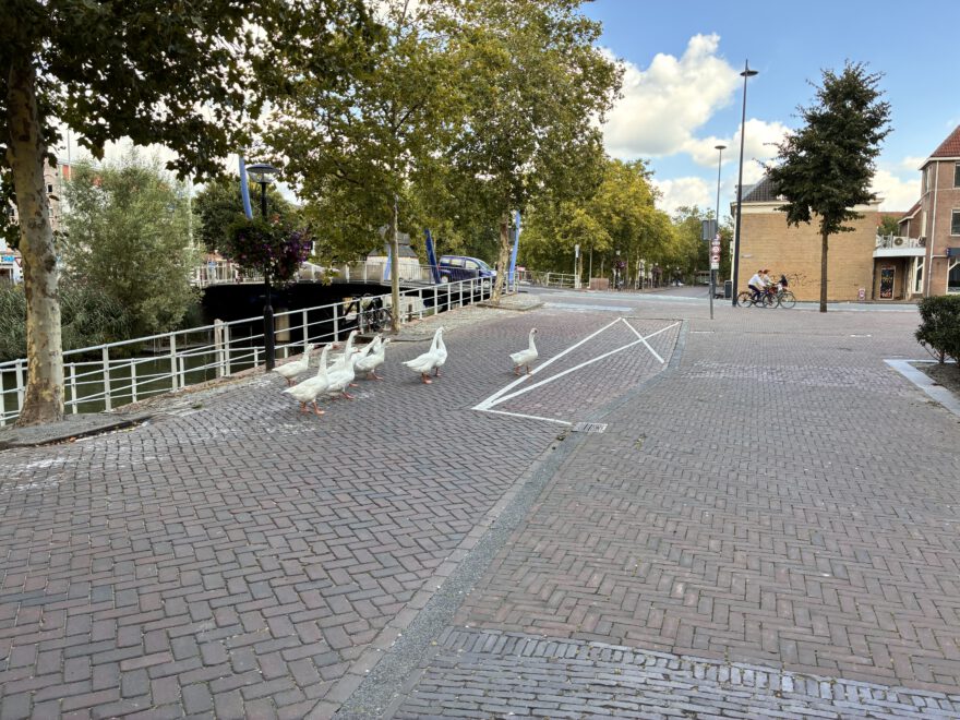 Städtetrip Utrecht Singel Spaziergang23