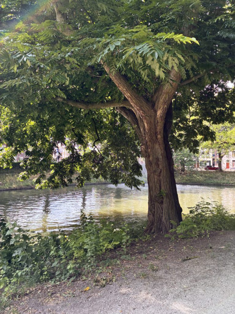 Städtetrip Utrecht Singel Spaziergang4