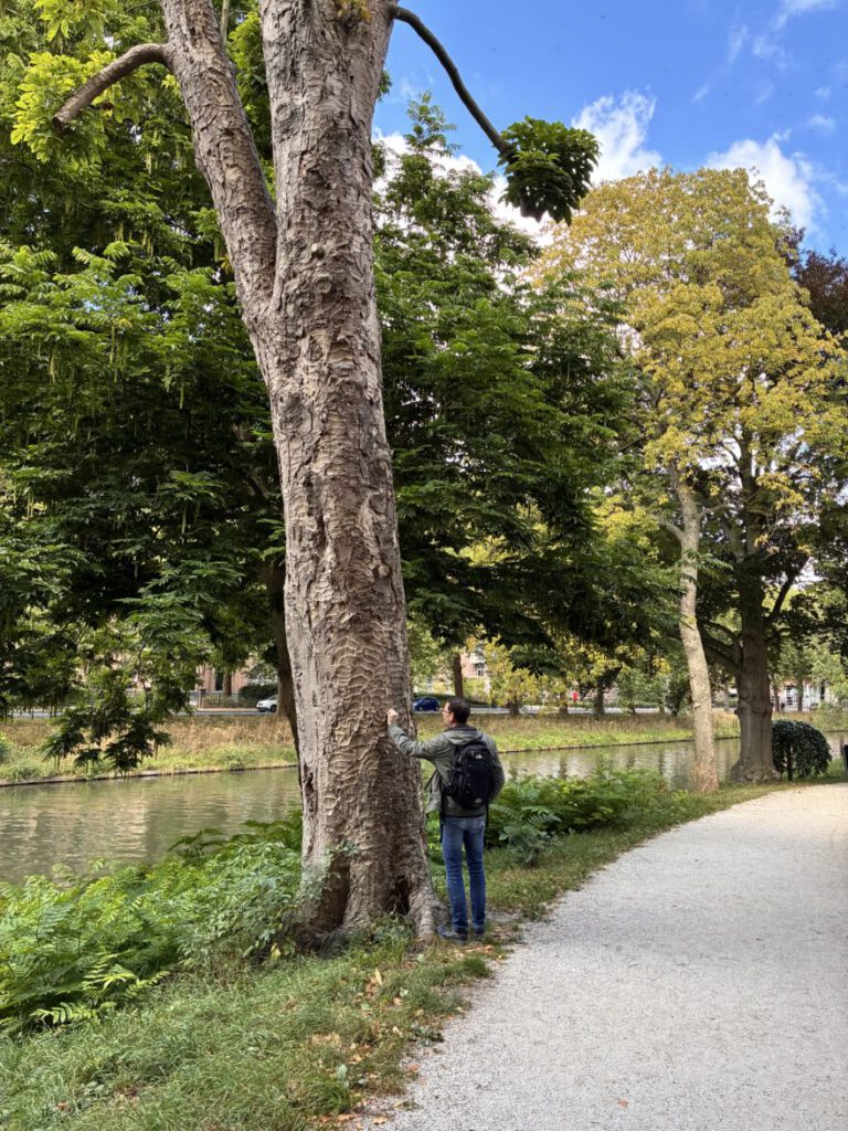 Städtetrip Utrecht Singel Spaziergang5