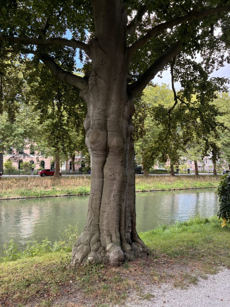 Städtetrip Utrecht Singel Spaziergang8