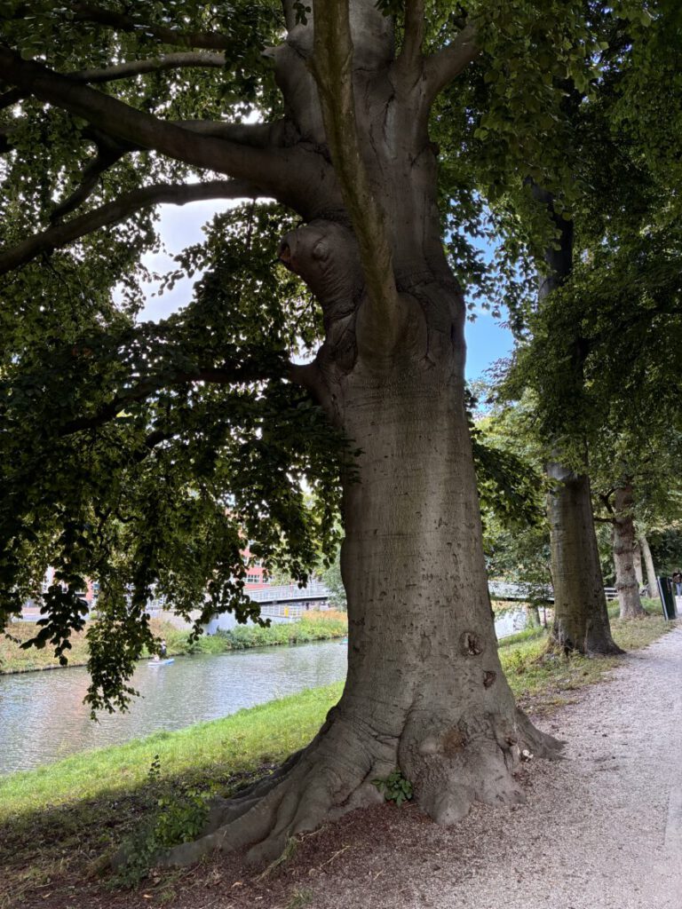 Städtetrip Utrecht Singel Spaziergang9