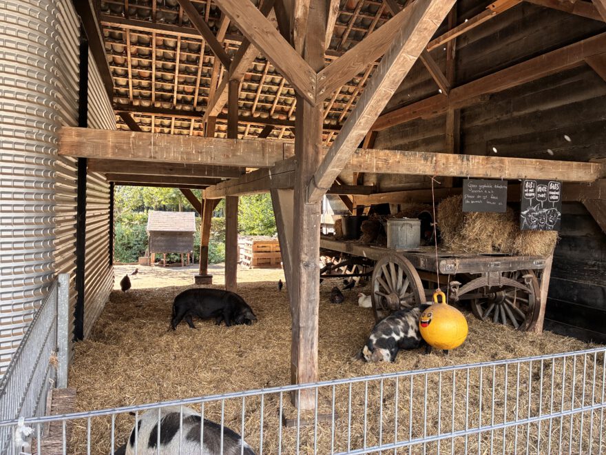 Städtetrip Utrecht Spaziergang durch Lombok und Leidsche Rijn 8