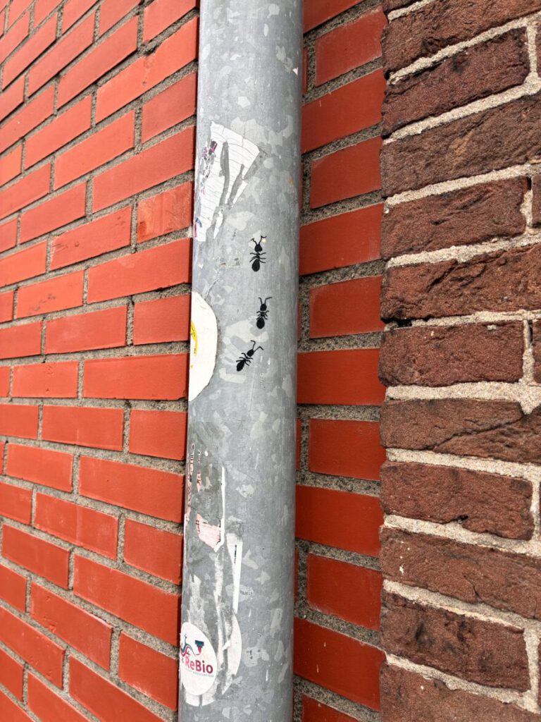 Städtetrip Utrecht Stadtspaziergang 53